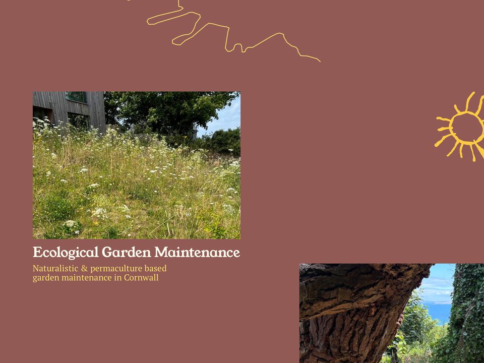 The Ecological Garden Maintenance service with a meadow photo and a yellow sun drawing
